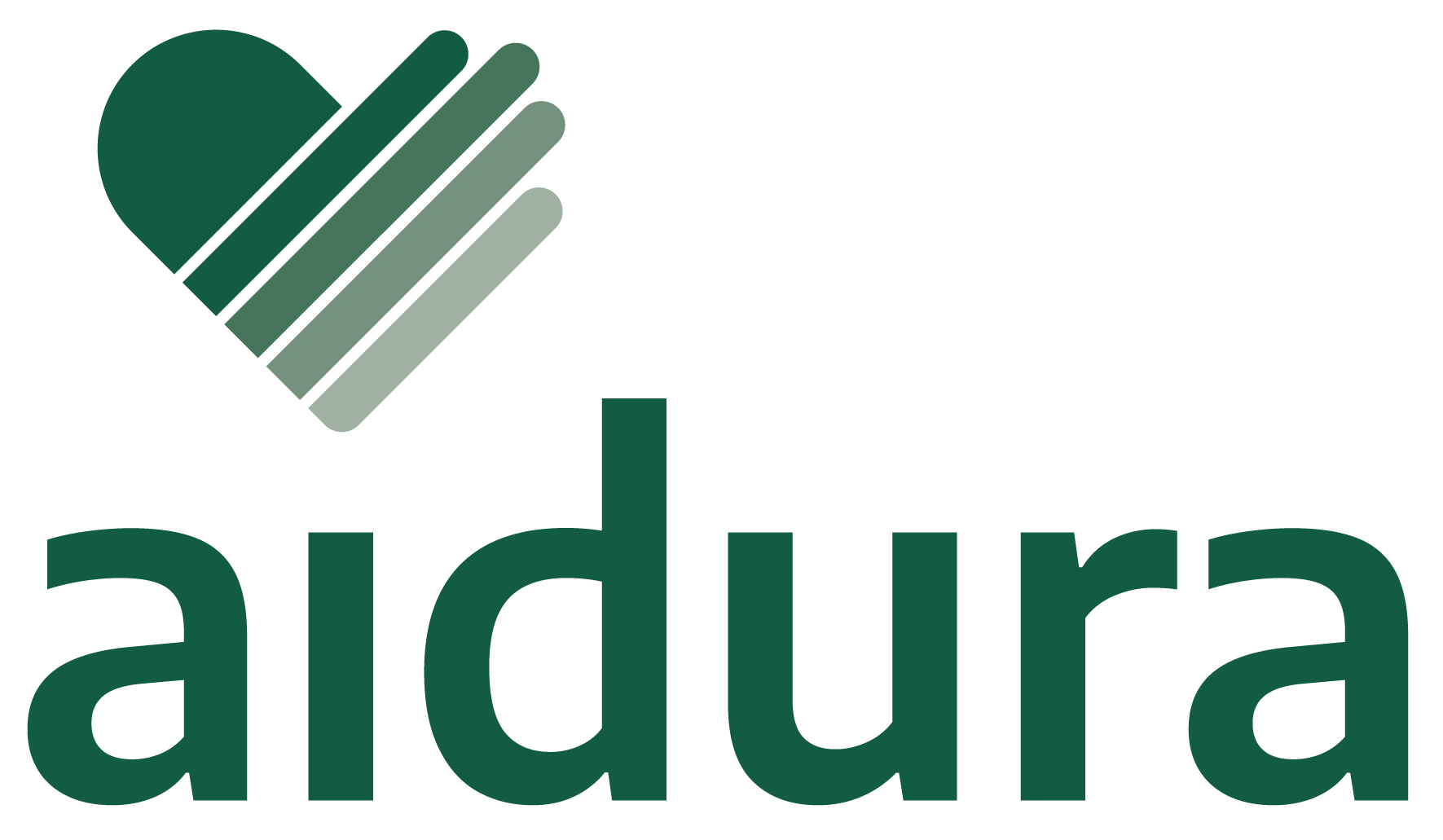 Logo aidura rgb